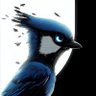Profilbild von jayplayco