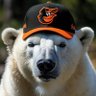 Eutaw St Polar Bear's profile picture