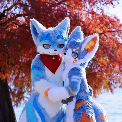 肉餅Robin🐯's profile picture
