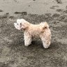 姜俊瑋's profile picture
