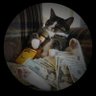 ぽ profil fotoğrafı