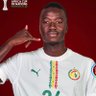 aMdY_mUsTaFaa 🇸🇳✌️'s profile picture