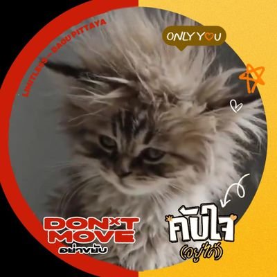 ถัง ถัง 🗑️ ☆'s profile picture