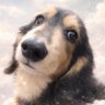 g4.hm1231's profile picture