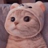 ZN.ML๐ค๐ค's profile picture