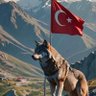 Alperen_soydaşlar's profile picture
