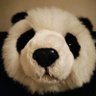Profilbild von ルル
