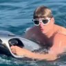 TheOriginMS7's profile picture