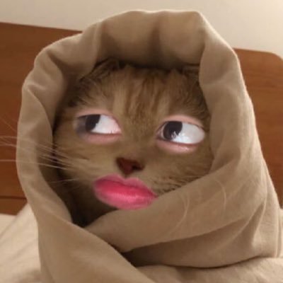 𐙚 บอสอ's profile picture