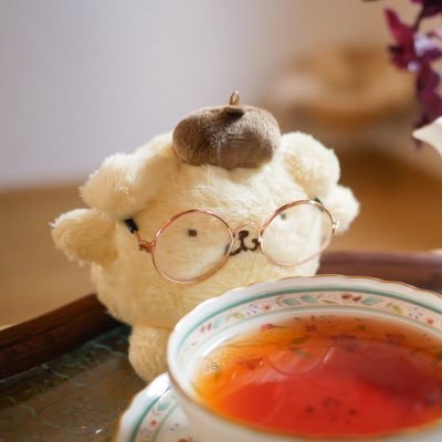 ぽむち's profile picture