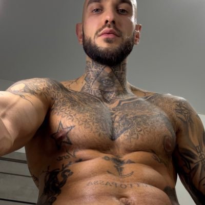 Maximus Fox 👑's profile picture