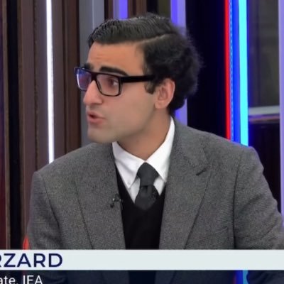 ManiBasharzad's profile picture