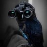 The1FreeMan profil fotoğrafı