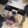 eldruum profil fotoğrafı