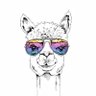 Alpaca profil fotoğrafı