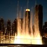 في حب الإمارات's profile picture