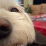 catherine's profile picture