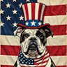 TruePatriotBulldog 的头像