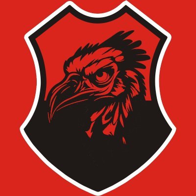 Fla Videos's profile picture