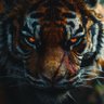 bhā ra tā's profile picture