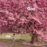 Фото профиля Sheddy smiling 🌳