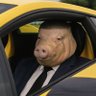 Pigger's profile picture