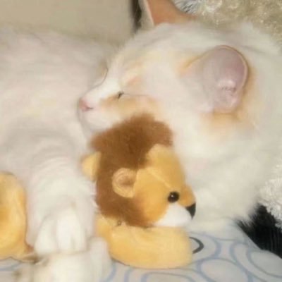 Relly_enioy_you's profile picture