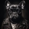 DC3AI profil fotoğrafı