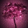Фото профиля Snowflakes
