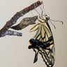 Фото профиля さと