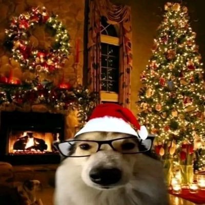 christine's profile picture