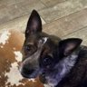 Maggiemae's profile picture