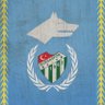 Filozof Ergić's profile picture