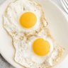 Profilbild von EggCannon