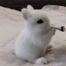 xan profil fotoğrafı