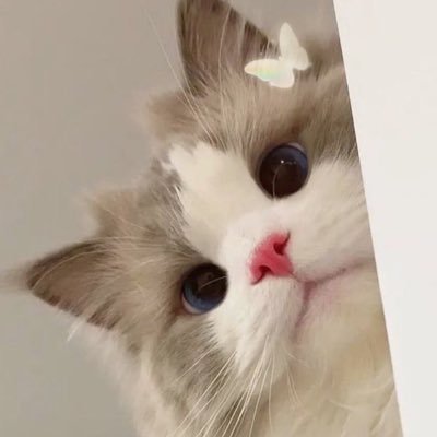 pmymale's profile picture