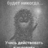 Лука profil fotoğrafı