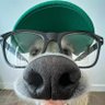 Profilbild von Landlord of Vibes