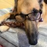 Profilbild von Nick Berk