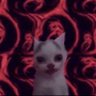 shocksite shady facts's profile picture