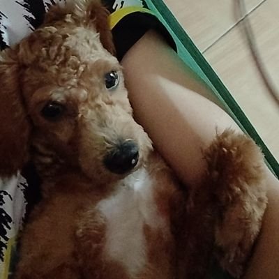 diradizo99445's profile picture