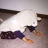 えくれあ profil fotoğrafı