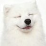 สมเมะ ง้อเคะ (แอคแดงช่วยด้วย)'s profile picture