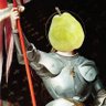 Profilbild von ベニシャーーーケ(ラフランスII聖)