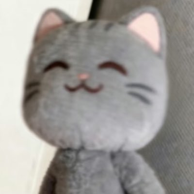 wangmiaoovo's profile picture