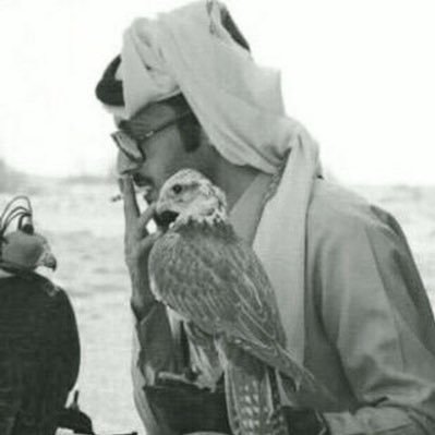 6gluf's profile picture