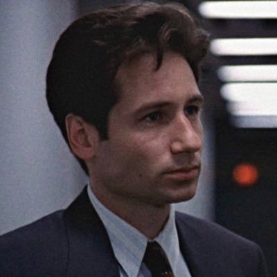 the.vulcanus's profile picture