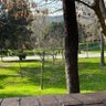 Фото профиля Cihangir Muzaffer