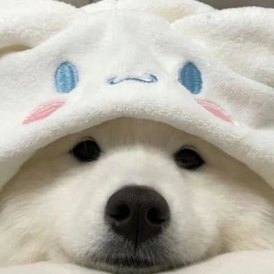 🥛's profile picture