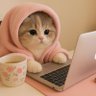 İlknur's profile picture
